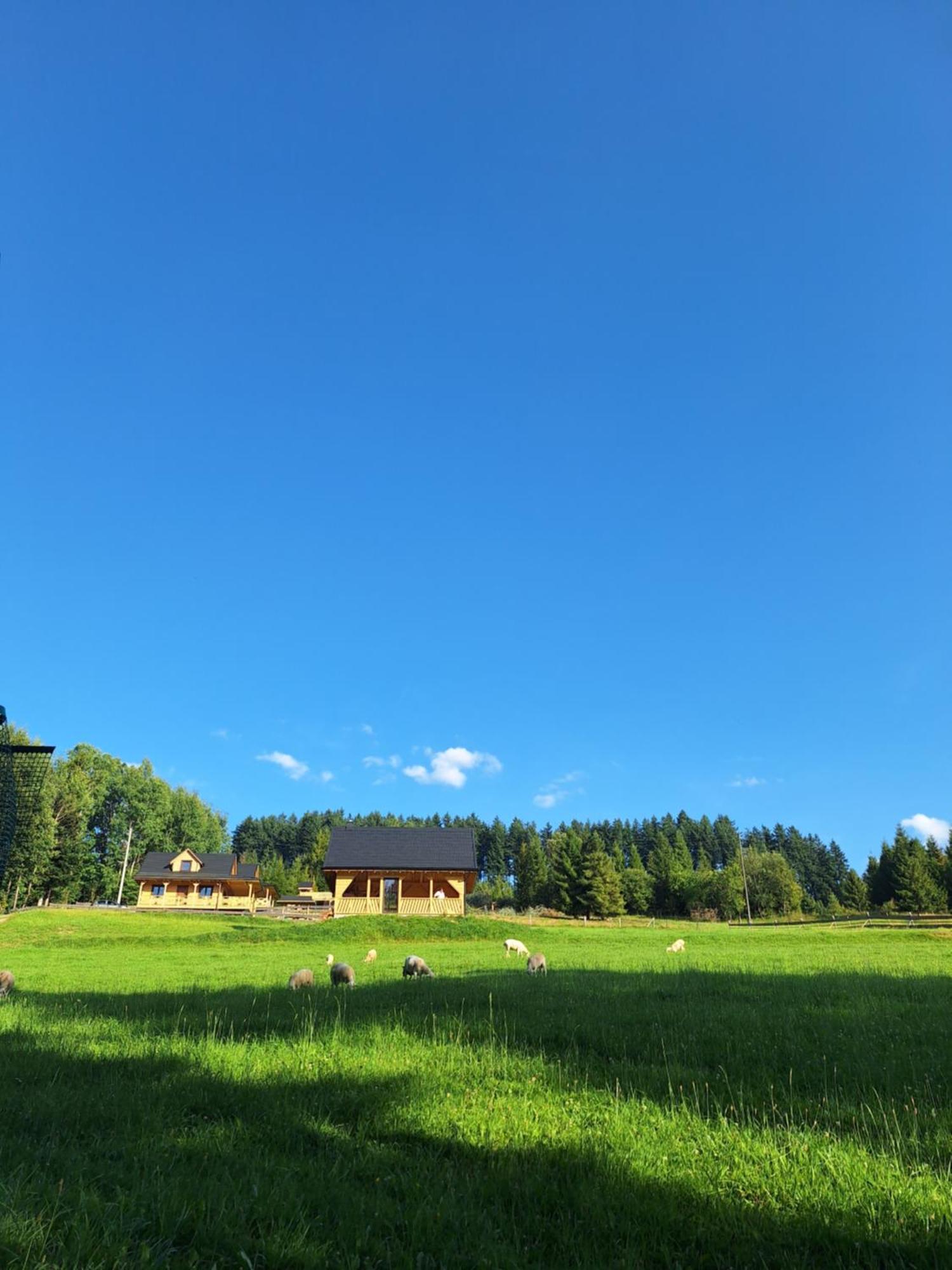 Domek W Klisiowkach Ujsoly Exterior photo